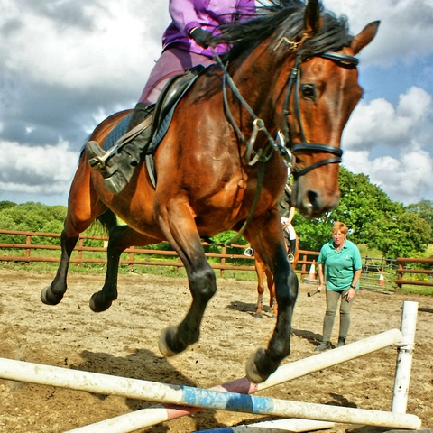 Fotoserie-Bestellung